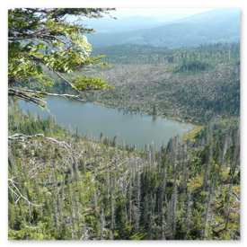Plešné jezero