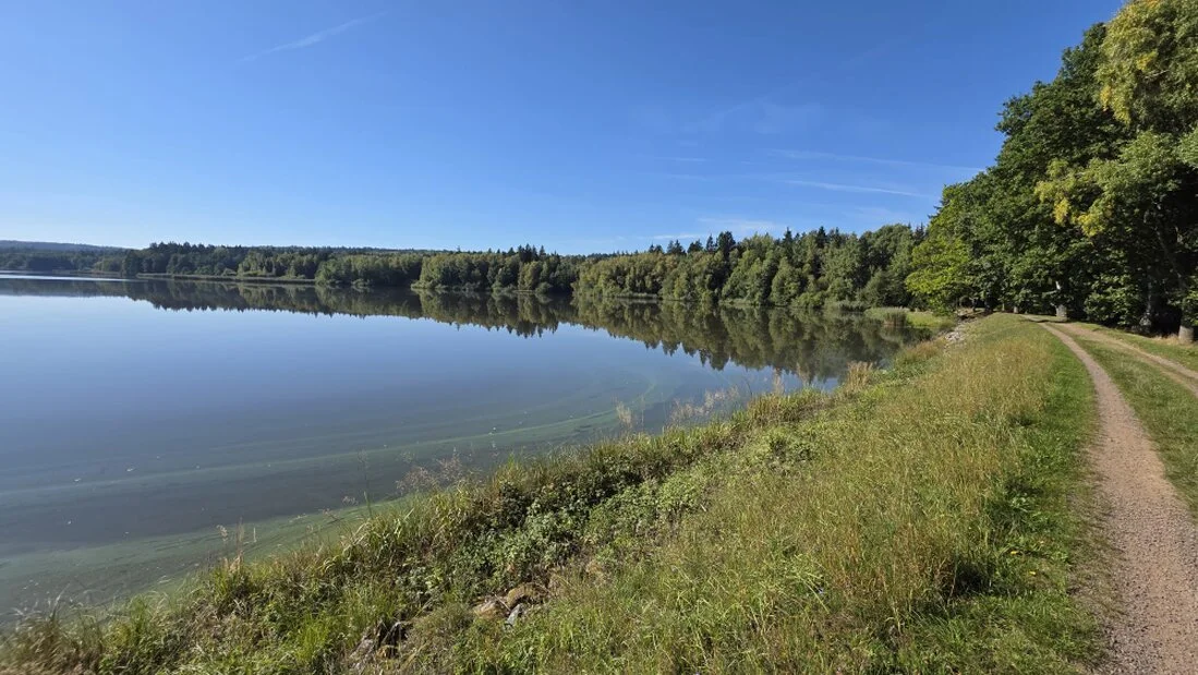 Rybník