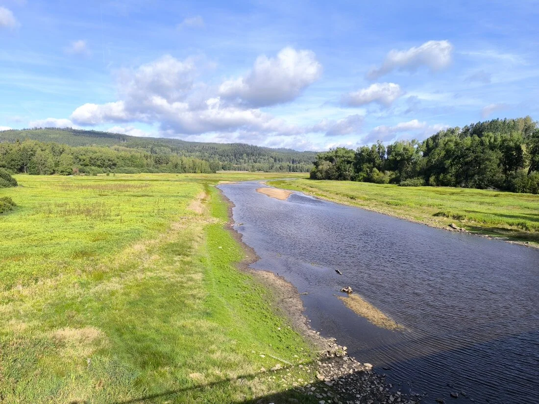Lipno