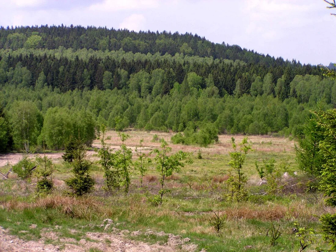 Bahna