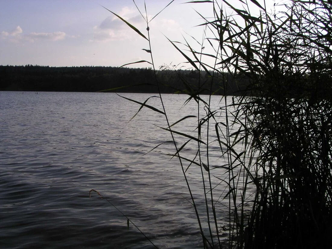 Padrťský rybník